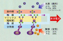 _ecop4upic1s.5efe8158108954df82b48f765460379e.jpg