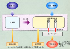 _ecop4upic2s.87684e9d120db7d69c2032538ec6af03.jpg