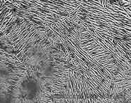 写真「くし型高分子薄膜」