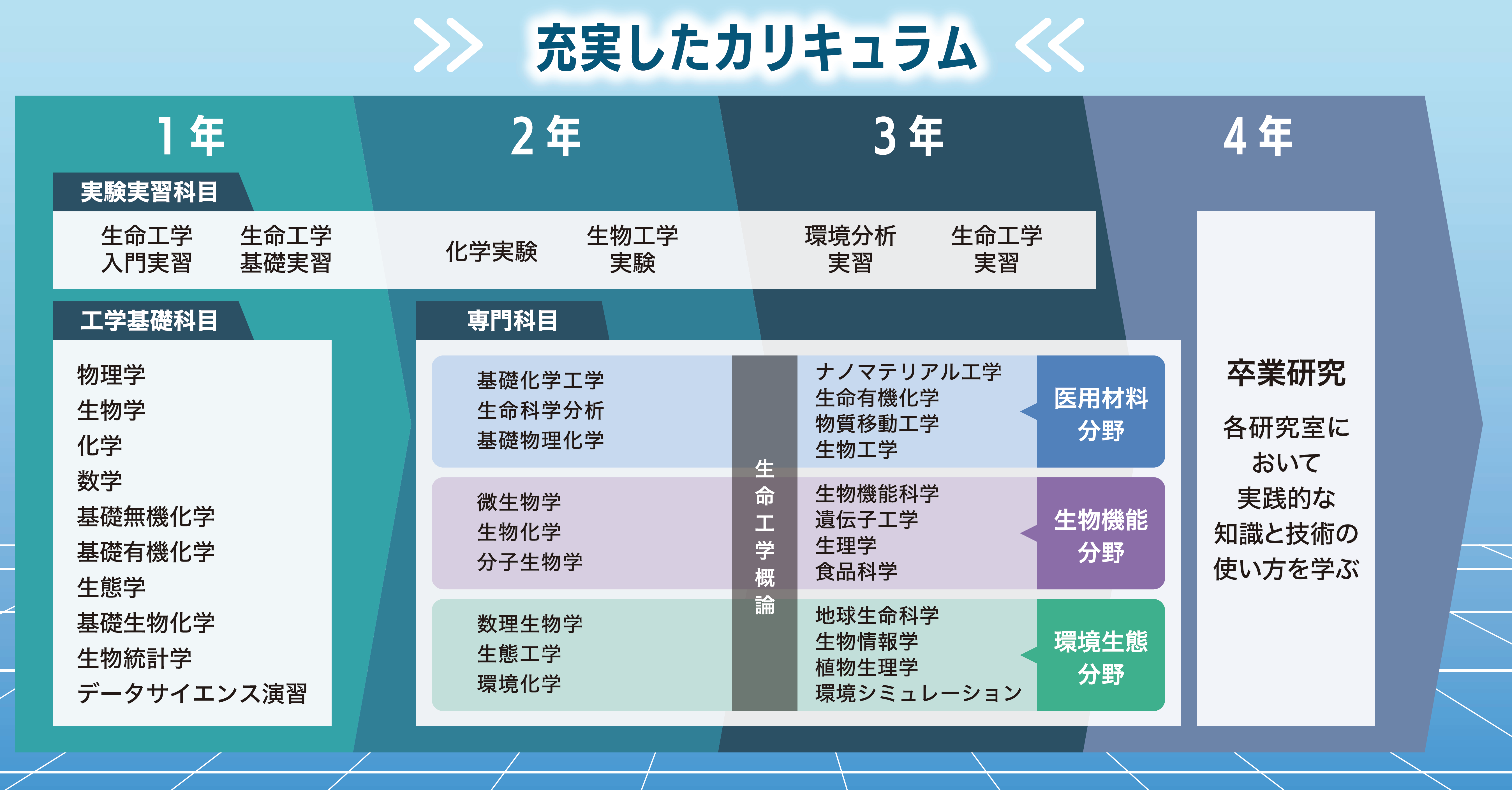 カリキュラム生命工学科.png