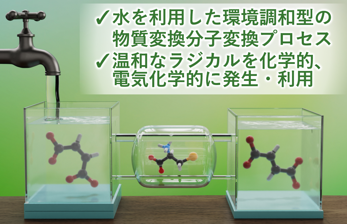 research_thiyl.png