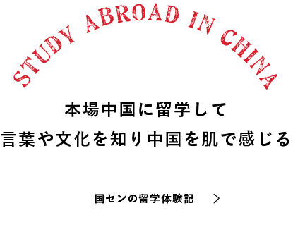本場中国に留学して言葉や文化を知り中国を肌で感じる