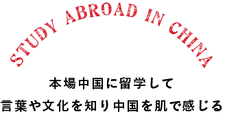 本場中国に留学して言葉や文化を知り中国を肌で感じる