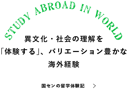 異文化・社会の理解を「体験する」、バリエーション豊かな海外経験