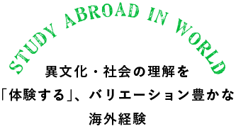 異文化・社会の理解を「体験する」、バリエーション豊かな海外経験